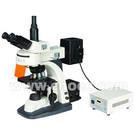 Trinocular Five Wave Fluorescence Microscope With Fine Focus A16.1101